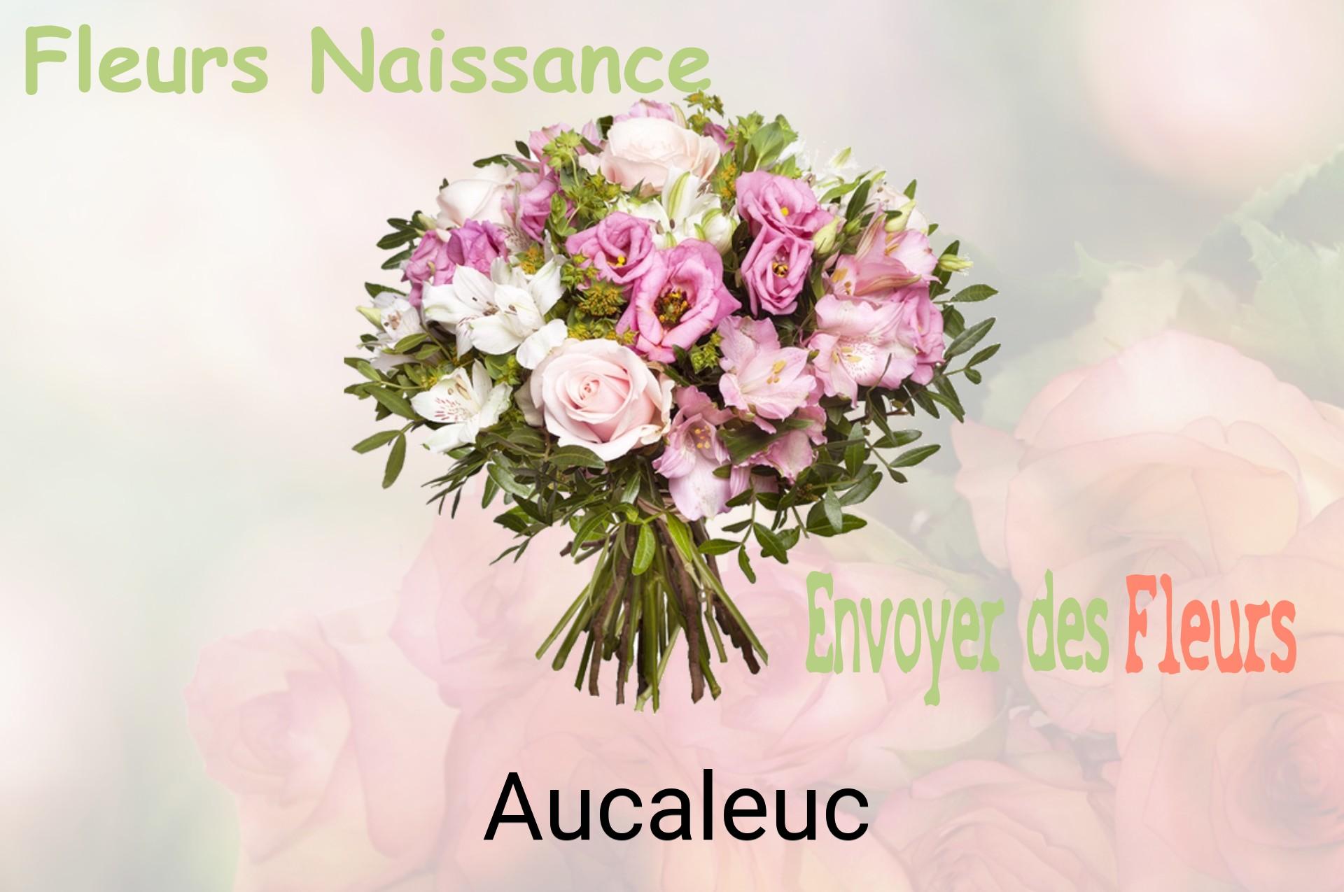 Bouquet de fleurs de naissance livré à Aucaleuc