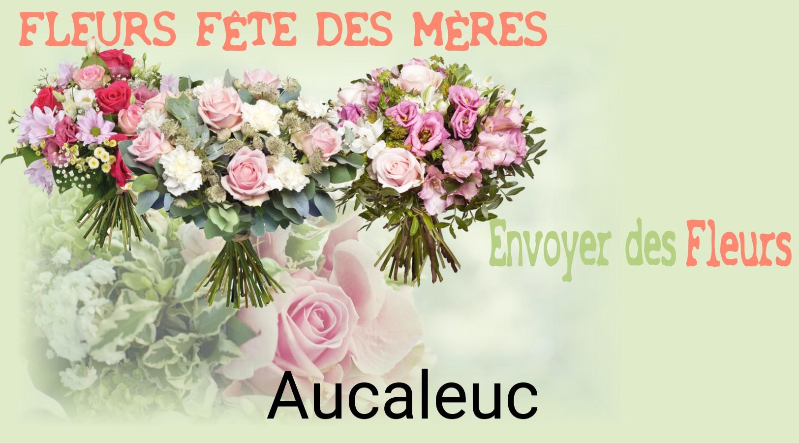 Bouquet de Fête des Mères livré à Aucaleuc